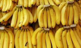 91香蕉蜜汁直播,甜蜜蜜汁，直播新体验